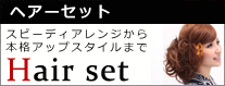 ヘアーセット スピーディアレンジから本格アップスタイルまで